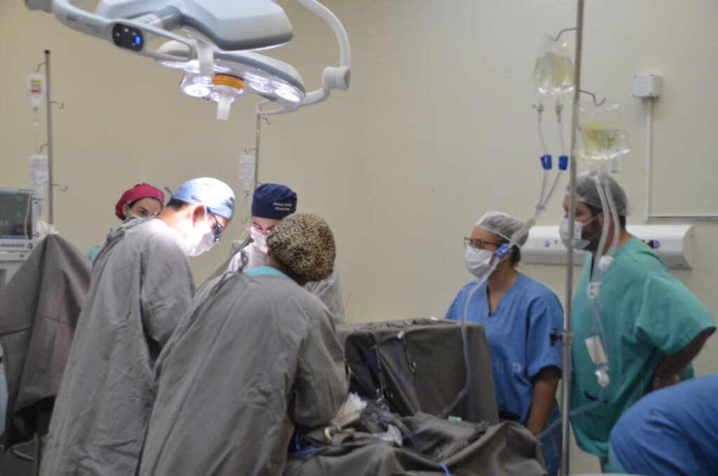 primeira-captacao-de-orgaos-de-2024-no-tocantins-beneficia-cinco-pacientes