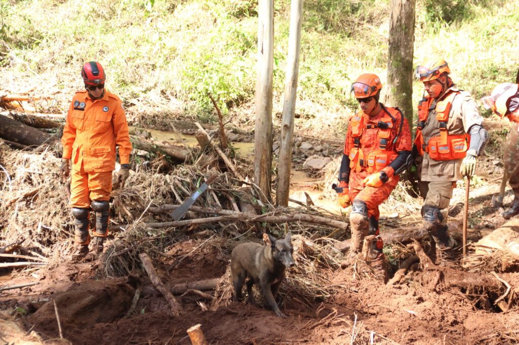 Bombeiros tocantinenses completam duas semanas em missão no Rio Grande do Sul bombeiros-tocantinenses-completam-duas-semanas-em-missao-no-rio-grande-do-sul
