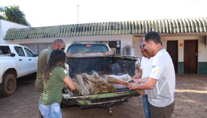 Naturatins apreende capim-dourado colhido ilegalmente no Jalapão naturatins-apreende-capim-dourado-colhido-ilegalmente-no-jalapao
