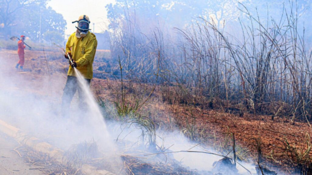 contratacao-emergencial-de-brigadistas-e-aberta-para-combate-a-incendios-florestais-no-tocantins