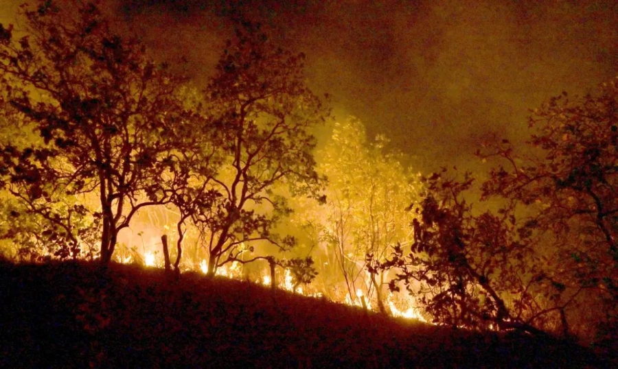 Exército envia 160 militares para combate a incêndios florestais no Tocantins exercito-envia-160-militares-para-combate-a-incendios-florestais-no-tocantins