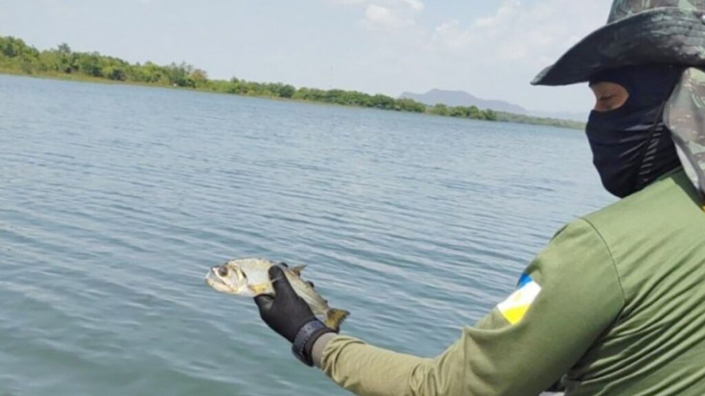 Naturatins intensifica combate à pesca ilegal com Operação Malha Fina naturatins-intensifica-combate-a-pesca-ilegal-com-operacao-malha-fina