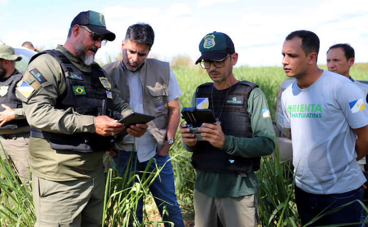 Desmatamento no Tocantins tem redução de 43% em cinco meses, com destaque para o Bioma Amazônico desmatamento-no-tocantins-tem-reducao-de-43%-em-cinco-meses,-com-destaque-para-o-bioma-amazonico