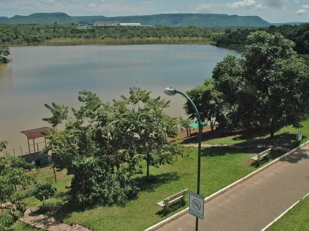 Macaco encontrado morto no Parque Cesamar não tinha febre amarela nem raiva, aponta laudo macaco-encontrado-morto-no-parque-cesamar-nao-tinha-febre-amarela-nem-raiva,-aponta-laudo