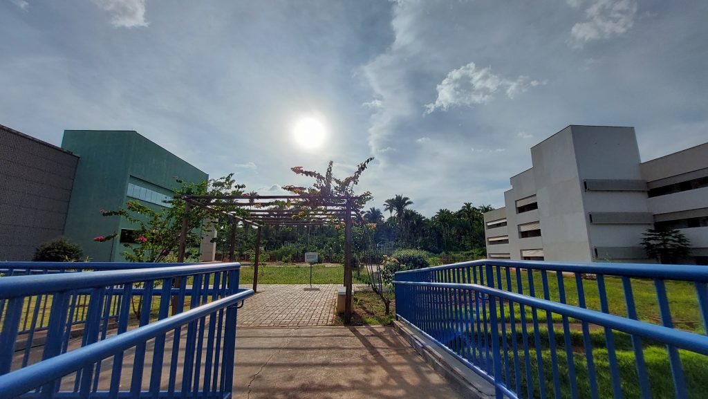 UFNT abre inscrições para contratar professores substitutos com salários de até R$ 8 mil ufnt-abre-inscricoes-para-contratar-professores-substitutos-com-salarios-de-ate-r$-8-mil
