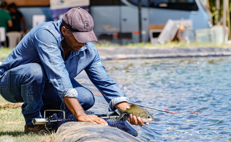 Produção de peixes no TO cresce 12,7% e estado tem 4ª maior evolução do país, segundo anuário producao-de-peixes-no-to-cresce-12,7%-e-estado-tem-4a-maior-evolucao-do-pais,-segundo-anuario