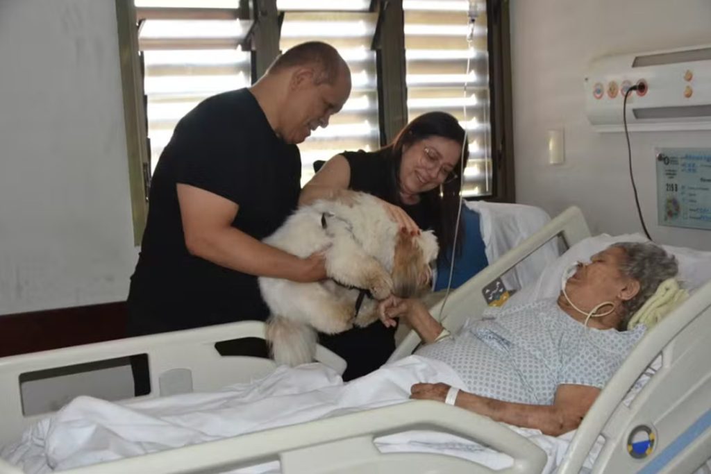 dia-do-desejo:-conheca-projeto-que-fez-reencontro-de-paciente-com-o-cao-de-estimacao-em-hospital
