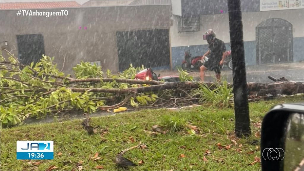 Chuva com ventos fortes derruba árvores e provoca estragos em Araguaína; Vídeo chuva-com-ventos-fortes-derruba-arvores-e-provoca-estragos-em-araguaina;-video